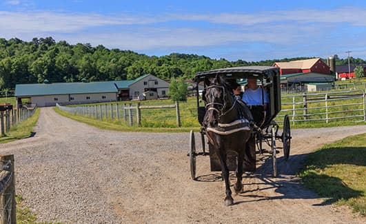 Take a Buggy Ride
