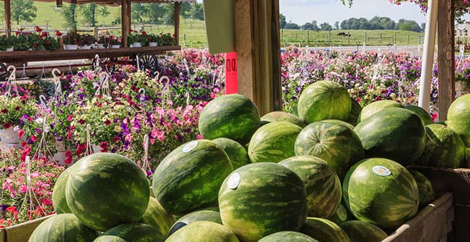 Produce, fruit, vegetables, flowers
