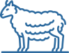 Petting Area